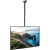 Techly ceiling TV mount with TV displaying a beach scene
