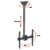 Techly TV Ceiling Mount with Adjustable Height and Angle