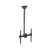 Techly TV ceiling mount, black, adjustable height, tilt and swivel