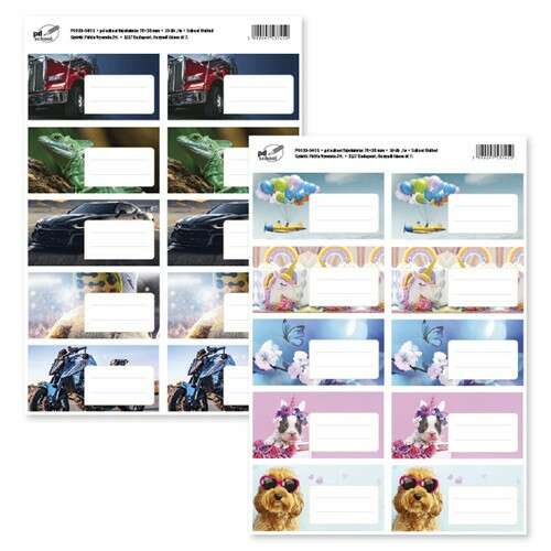 School United 76x38 mm névcímkék, 10 db/ív, vegyes minták