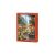 Castorland 1000 darabos 'Párizsi tavaszi virágok' puzzle doboza