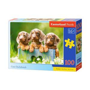 Castorland 100-piece Dachshund Puzzle: Cute Dachshund puppies in a box - Puzzle