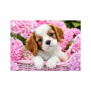 Castorland Cuki Kölyök puzzle image: Adorable puppy in pink flowers - Castorland Puzzle