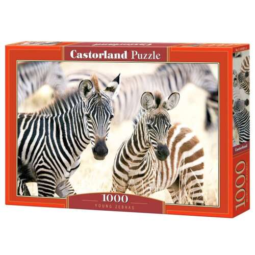Castorland Puzzle 1000 dielikov Mladé zebry puzzle