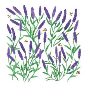 Levendula virágok méhekkel illusztráció - Szalvéta