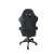 PRO-X COMFORT gamer chair with massage function and footrest, black and white, back view