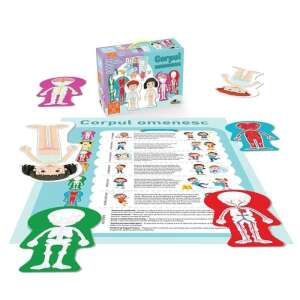 Noriel puzzle - Az emberi test