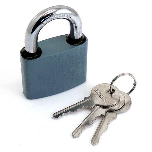 Blossom 50mm padlock with 3 keys, grey, weatherproof