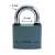Blossom 50mm padlock, dimensions, grey, weatherproof