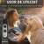 Професионално ултразвуково устройство против кучета, устройство за преследване, отстраняване и плашене на кучета и котки, 2 честоти... 101497495
