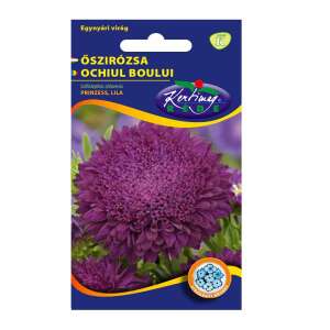 Semințe de Őszirózsa Prinzess, Lila, 1 gram, Kertiway Semințe - Semințe de semanat