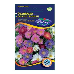 Callistephus chinensis / Ochiul boului / Pitic 101556787 - Semințe de semanat