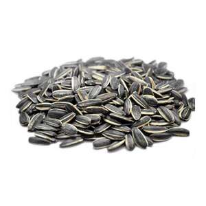 1 kg fekete napraforgómag - Kertépítés