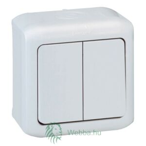 FALON Kivüli Dupla Kapcsoló - 10A/250V