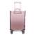 Clear suitcase cover on a pink suitcase, back view
