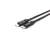 Nahaufnahme des Equip USB-C auf USB-C Kabel-Steckers