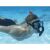 Bestway Hydro Pro Galapagos Grey Diving Set from 14 years old 101822707