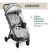Chicco GLEE stroller with raincover