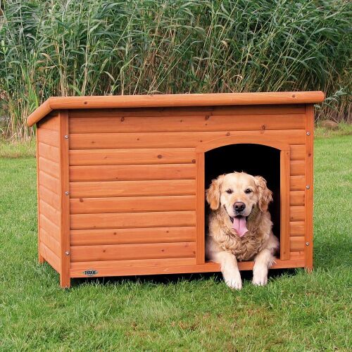 Trixie kutyaház lapostetővel, Golden Retriever néz a kamerába