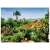 Puzzle Bild vom Botanischen Garten Madeira