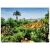 Puzzle Bild vom Botanischen Garten Madeira