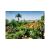 Madeira Botanischer Garten Puzzle Bild