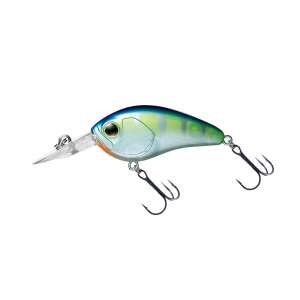 Daiwa Steez Crank 100 Clear Monster Chart 54mm horgászcsali, kék és zöld színben - Daiwa