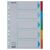ESSELTE "Standard" A4 5-dielny kartónový farebný register s popisovateľnou prednou stranou 91804337