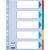 ESSELTE "Standard" A4 5-teiliges Farbregister aus Karton mit beschreibbarer Vorderseite 91804337
