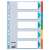 Esselte Standard A4 5-teiliger farbig Register mit beschreibbarem Tab