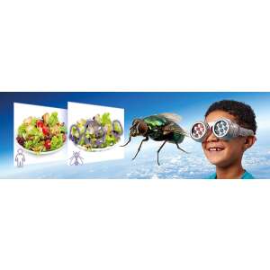 Child wearing Brainstorm Toys See the World Through Others' Eyes goggles, looking at a fly's perspective of a salad - Toy