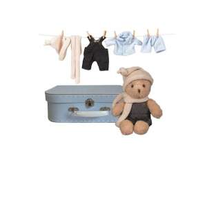 Egmont Toys Morris teddy bear with suitcase and clothes, plush toy for babies - Doll accessory