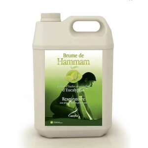 Camylle Eucalyptus Steam Bath Essence 5000ml - Air Freshener