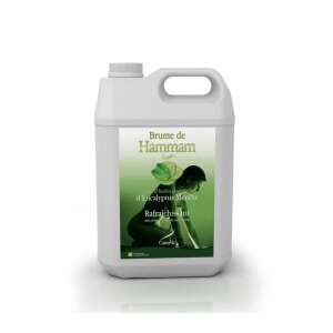Camylle Hammam Steam Bath Essence with Eucalyptus and Mint, 5000 ml - Air Freshener