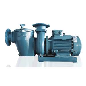 Eaux SE series 5.5 HP professional pool pump, 75m3/h maximum flow rate - Garden