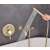 Blackswan M69 Matt Gold Bath and Sink Faucet Set, 20 cm, shower head close-up