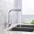 Blackswan M3 Kitchen Sink Faucet with Filtered Water Outlet, Chrome, Installed on Sink