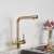Blackswan M5 gold kitchen faucet with filtered water outlet installed in a kitchen sink