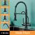 Blackswan M97 matte black kitchen faucet with purified water outlet and 2 modes, product modes
