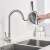 Blackswan M204 Kitchen Faucet with Pull-Out Sprayer in Use