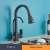 Blackswan M262 kitchen faucet with pull-down sprayer and filtered water spout, matte black, installed in a kitchen sink