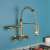 Blackswan M291 gold kitchen faucet, wall mounted, with pull-out spray, installed in a kitchen