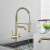 Blackswan M293 kitchen faucet, brushed gold, with pull-out sprayer and filtered water dispenser, close-up of spout