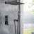 Blackswan M73.26 matte black shower set with square shower head and handheld shower head, water running