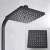 Blackswan M80.1 thermostatic shower set, matte black, 20 cm, close-up of the shower head