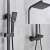 Blackswan M80.1 thermostatic shower set, matte black, 20 cm, close-up of the shower head, handle, and thermostatic control valve