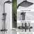 Blackswan M80.1 thermostatic shower set, matte black, 20 cm, showing the shower head, handle, and thermostatic control valve