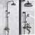 Blackswan M17.2 shower set, antique black, in use