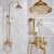 Blackswan M41.1 shower set, gold, 20 cm, collage