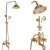 Blackswan M41.1 shower set, gold, 20 cm, collage